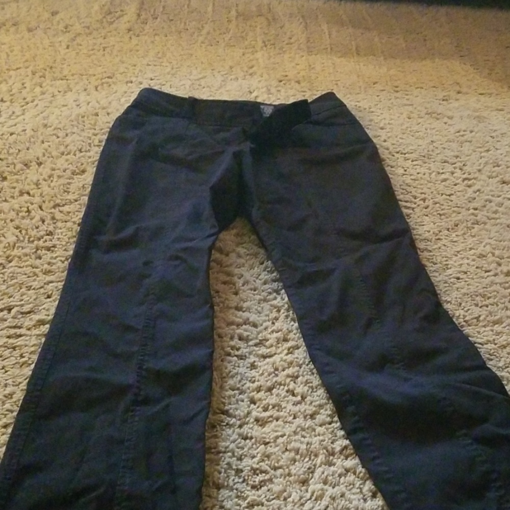 Express dress pants